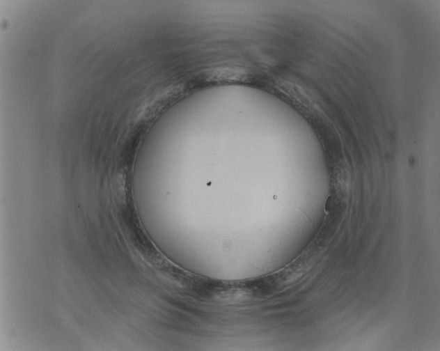 X0000073920551200609082240