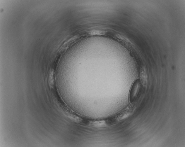 X0000073920554200609082240