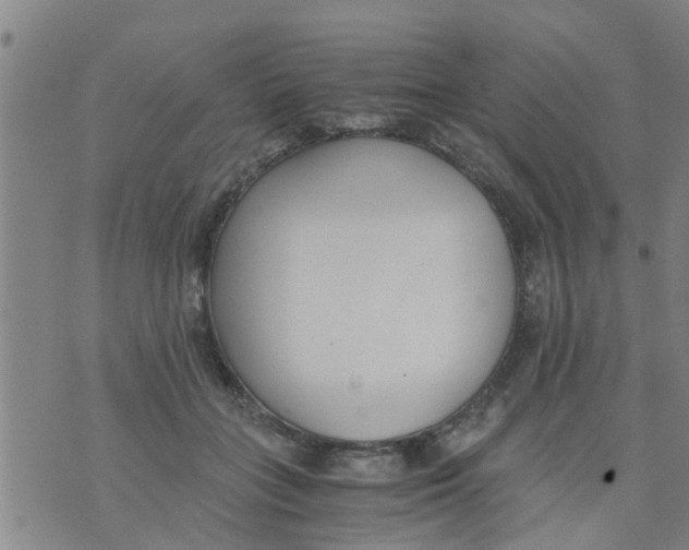 X0000073920555200609082241