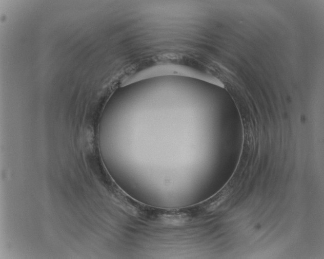 X0000073920556200609082241