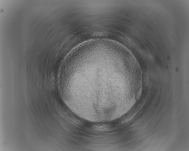 X0000073920557200609082241