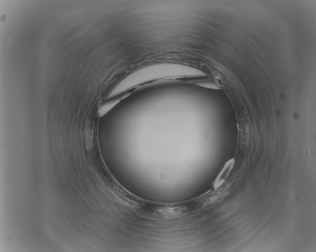 X0000073920558200609082241