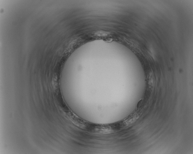 X0000073920559200609082241