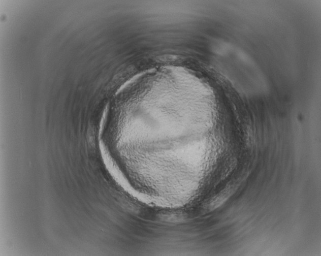 X0000073920561200609082241