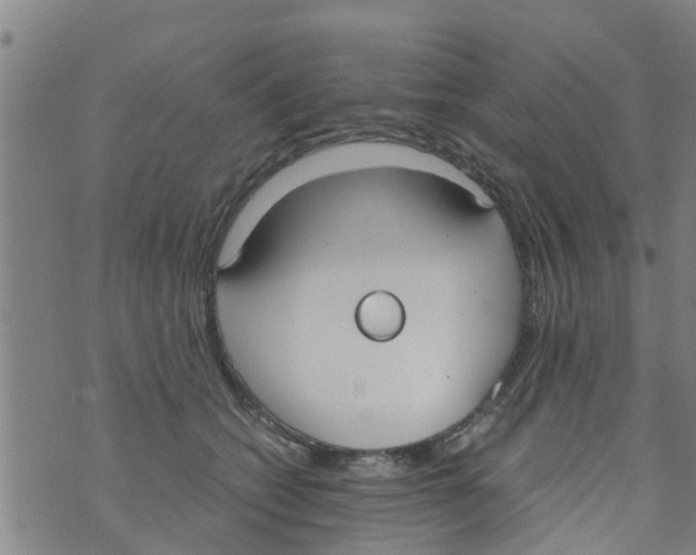 X0000073920562200609082241