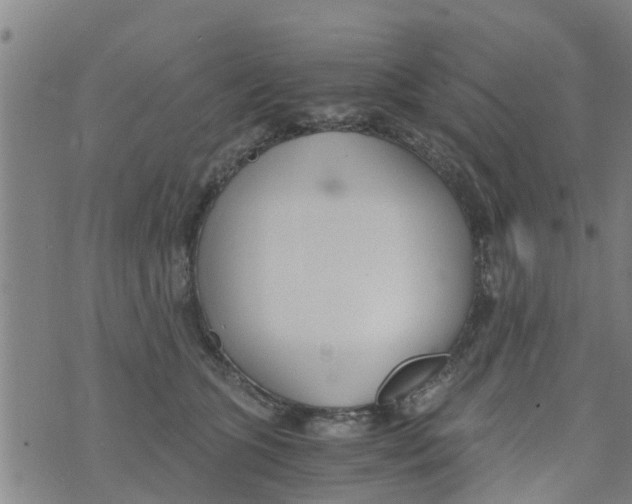 X0000073920563200609082241