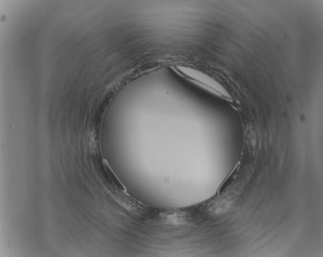 X0000073920564200609082241