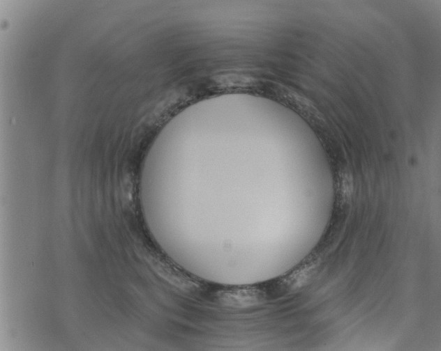 X0000073920567200609082241