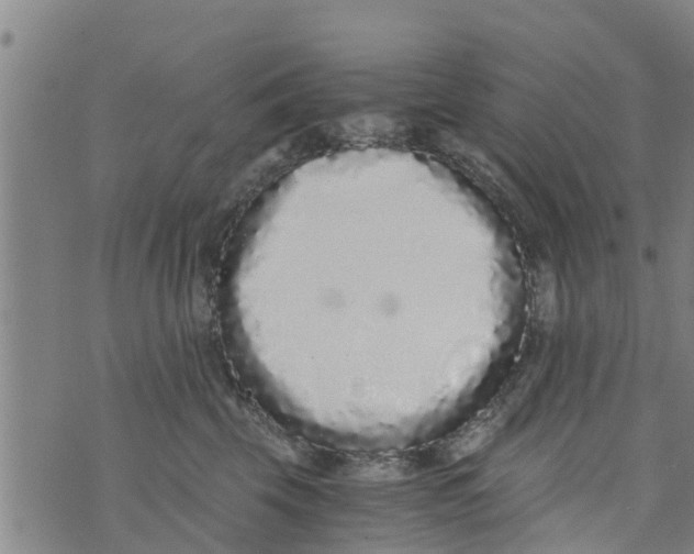 X0000073920569200609082241