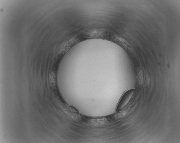 X0000073920571200609082241