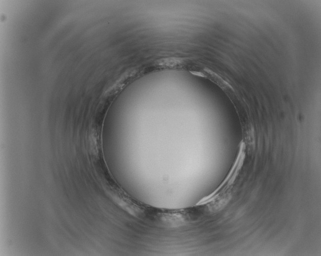 X0000073920572200609082241