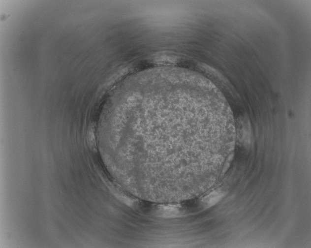 X0000073920573200609082241