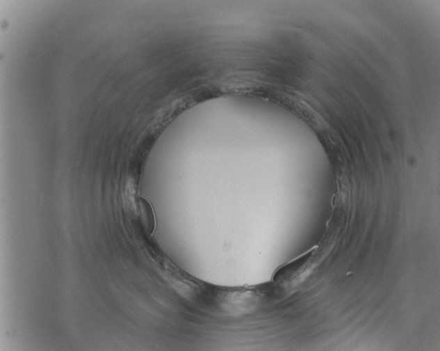 X0000073920575200609082241