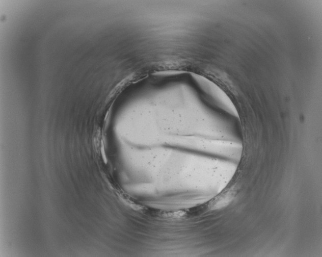 X0000073920576200609082241