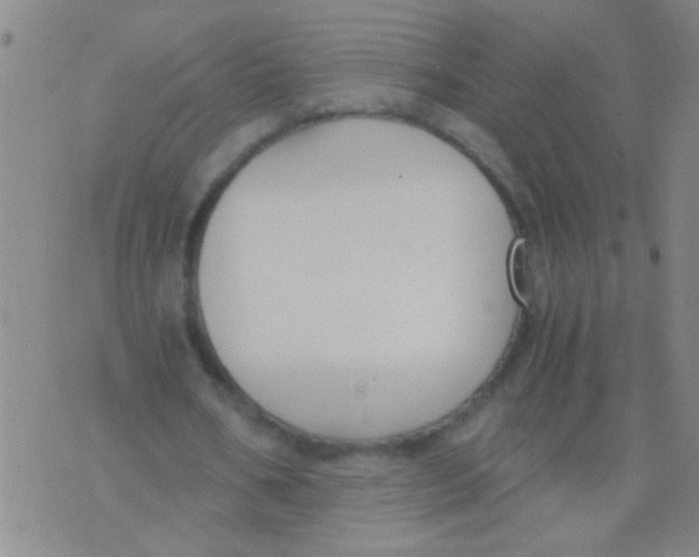 X0000073920578200609082240