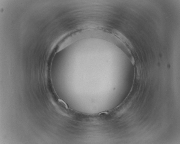 X0000073920580200609082240