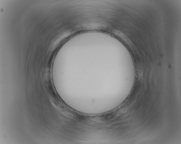 X0000073920583200609082240