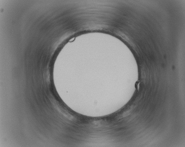 X0000073920584200609082240