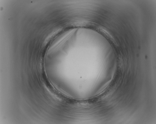 X0000073920586200609082240