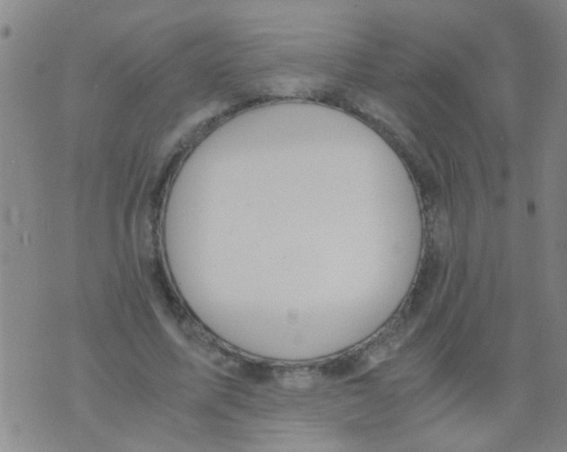 X0000073920587200609082240