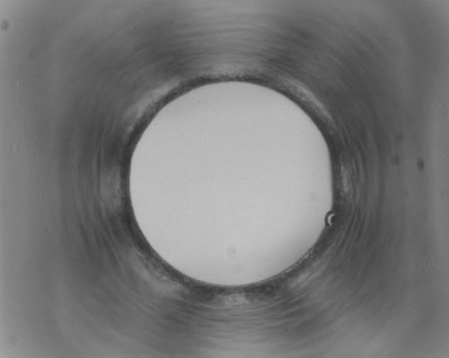 X0000073920588200609082240