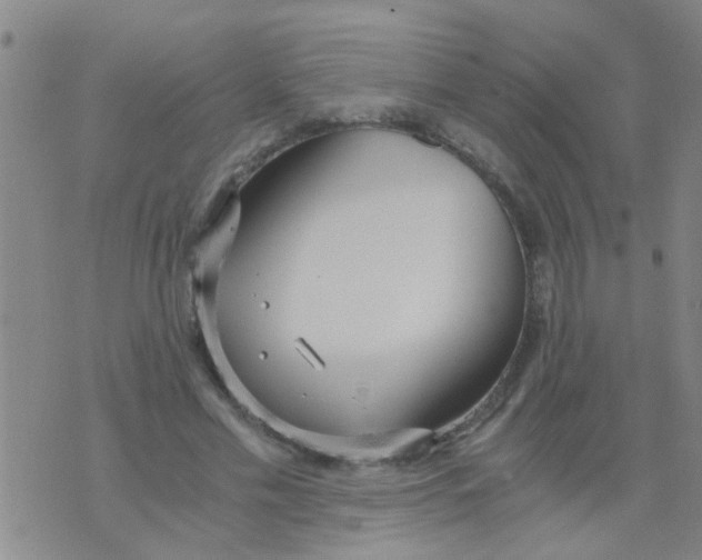 X0000073920589200609082240