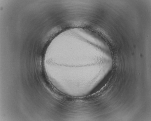 X0000073920590200609082240