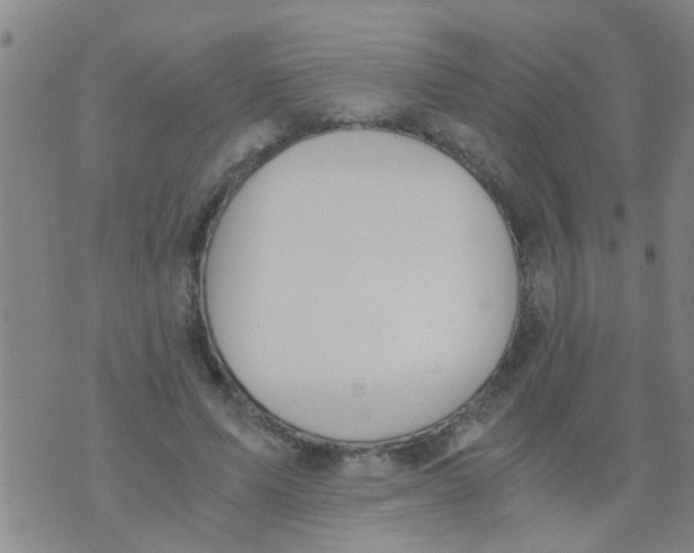 X0000073920591200609082240