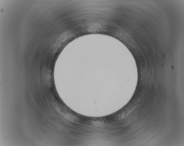 X0000073920592200609082240