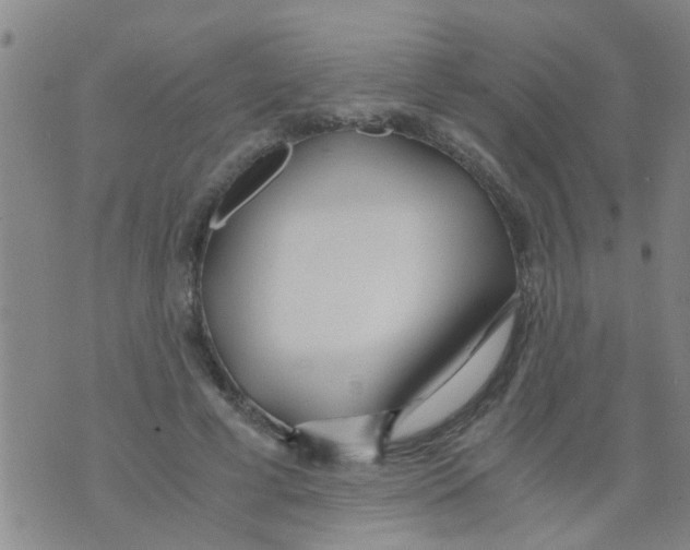 X0000073920593200609082240