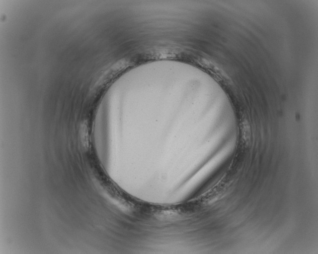 X0000073920594200609082240