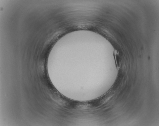 X0000073920595200609082240