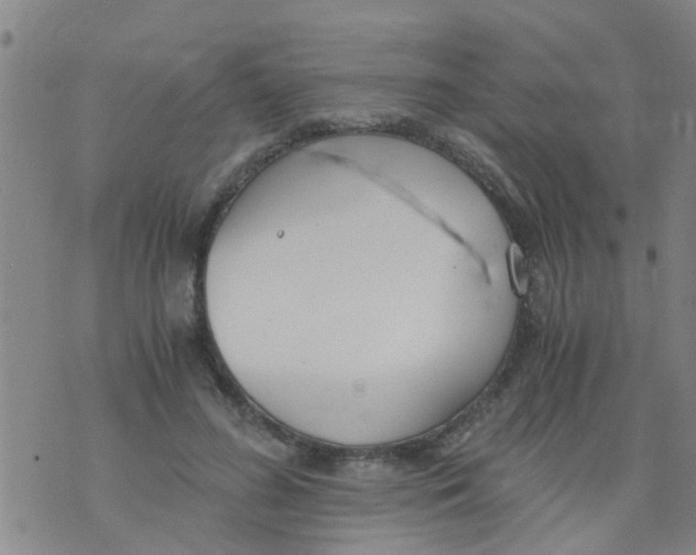 X0000073920596200609082240