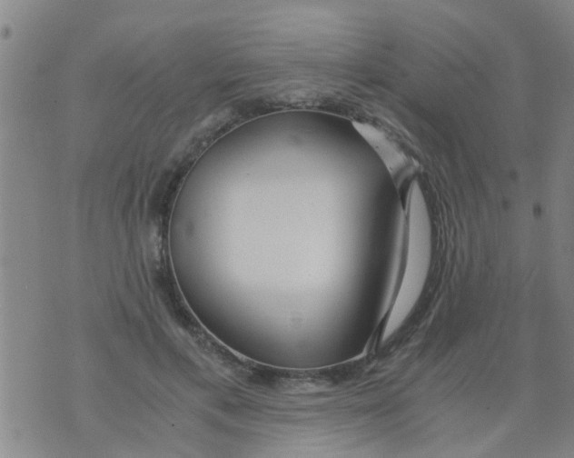 X0000073920597200609082240