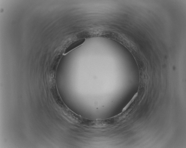 X0000073920601200609082240