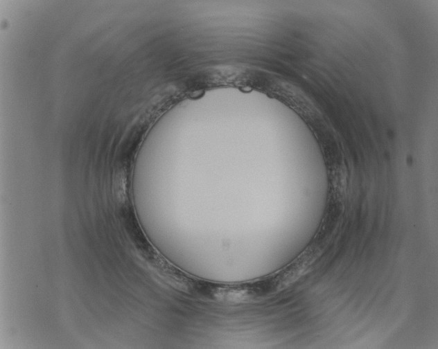 X0000073920602200609082240