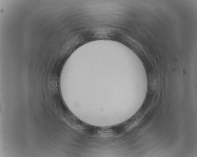 X0000073920603200609082240