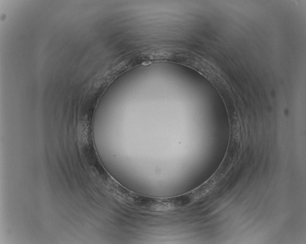 X0000073920604200609082240