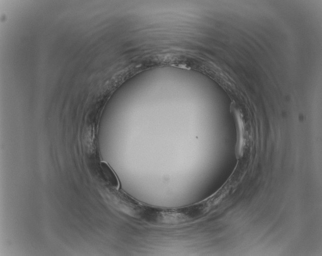 X0000073920605200609082240