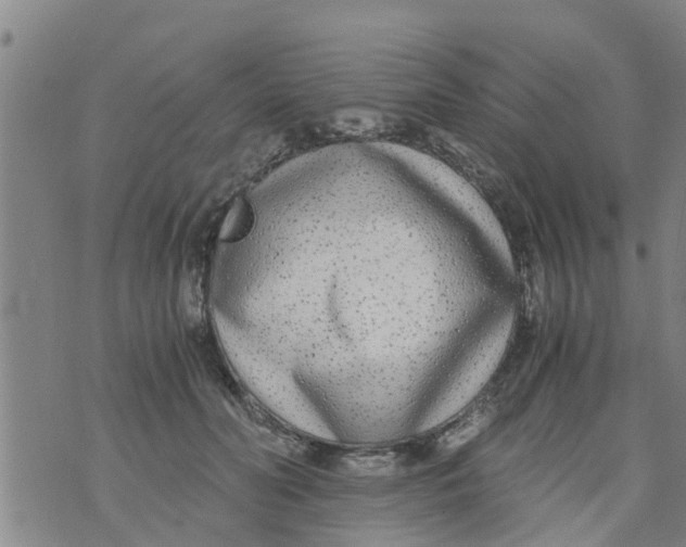 X0000073920606200609082239