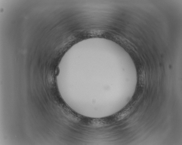 X0000073920608200609082239