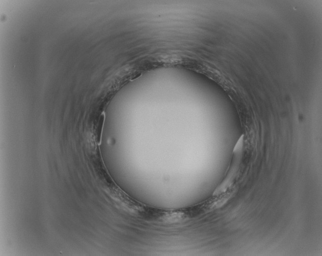 X0000073920609200609082239