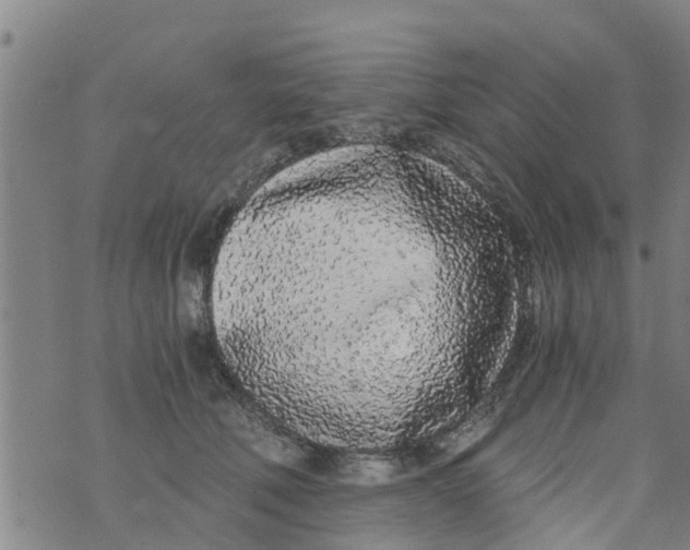 X0000073920610200609082239