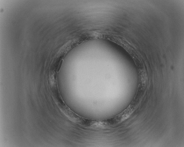 X0000073920611200609082239