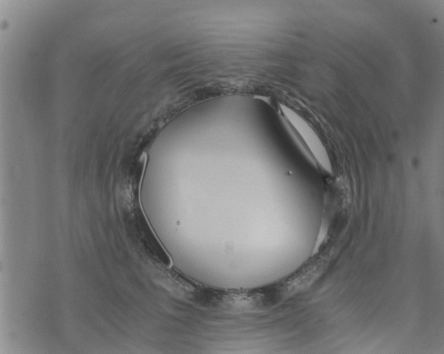 X0000073920613200609082239