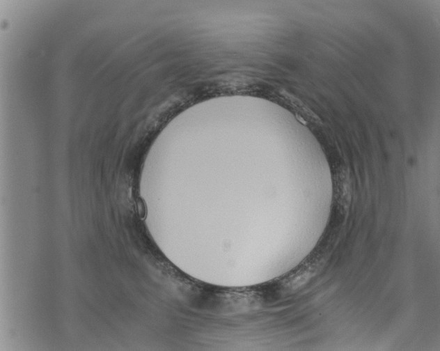 X0000073920615200609082239