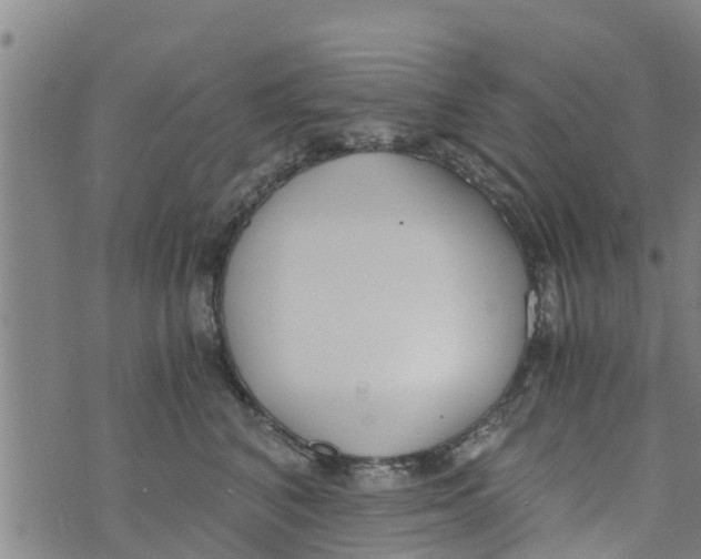 X0000073920616200609082239