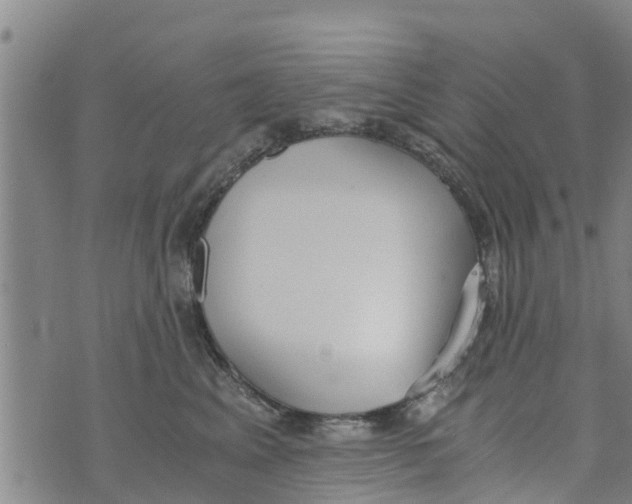 X0000073920617200609082239