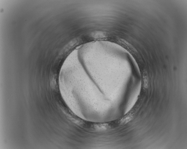 X0000073920618200609082239