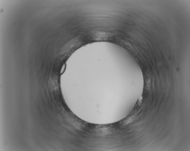 X0000073920620200609082239